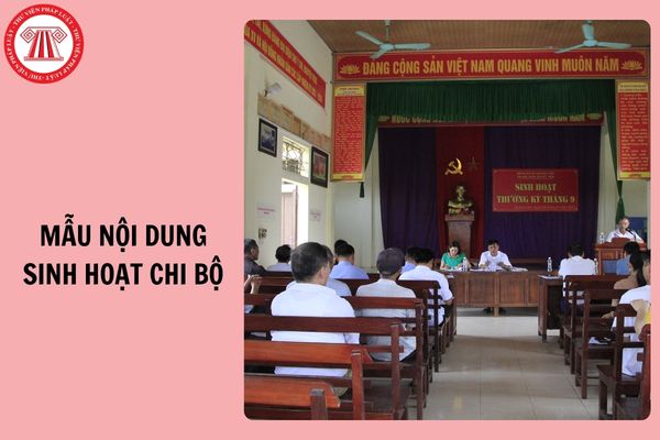 Hỏi đáp Pháp luật