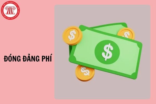 Hỏi đáp Pháp luật