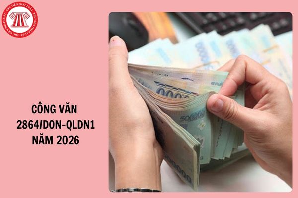 Hỏi đáp Pháp luật