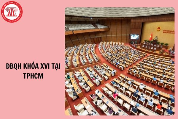 Hỏi đáp Pháp luật