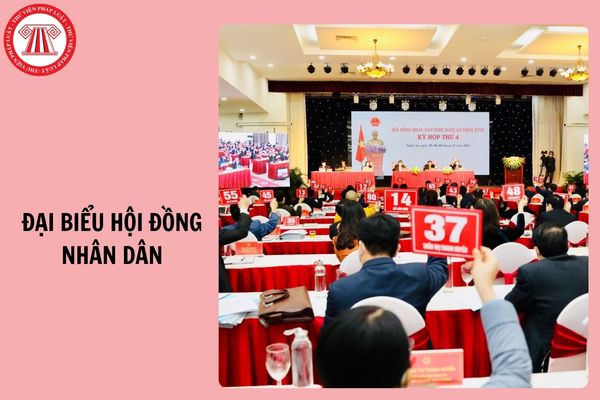 Hỏi đáp Pháp luật