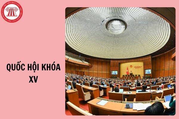 Hỏi đáp Pháp luật