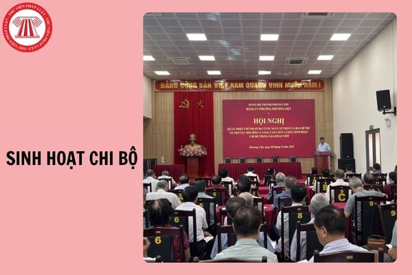Hỏi đáp Pháp luật