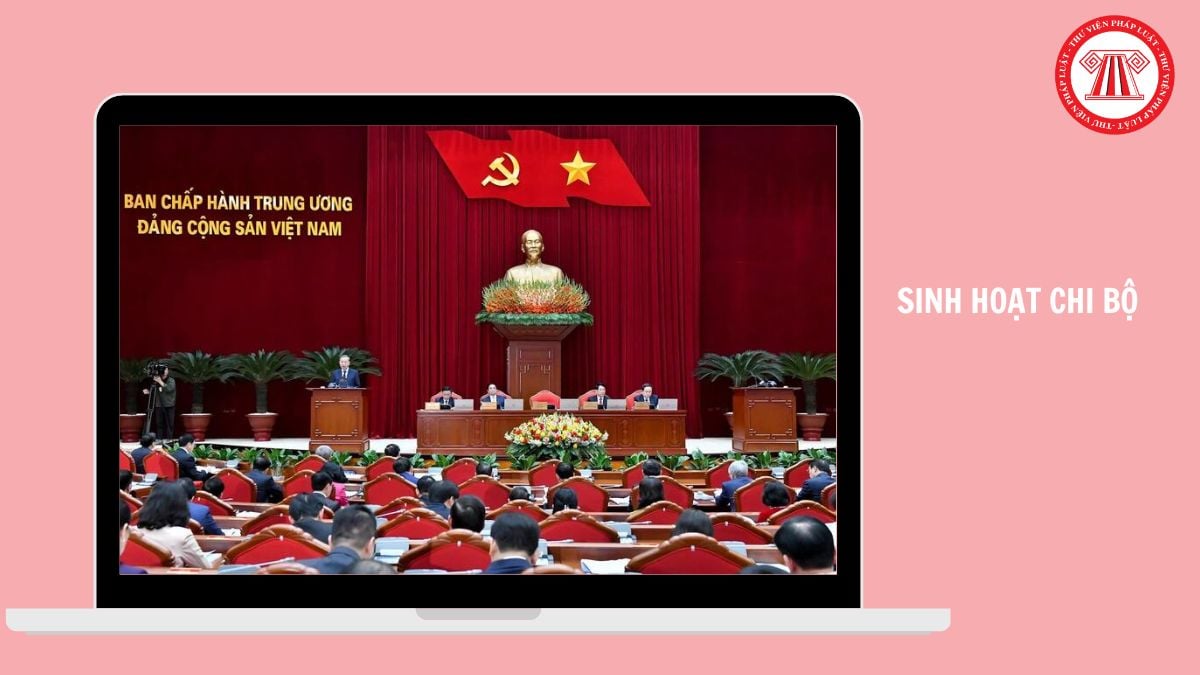Hỏi đáp Pháp luật
