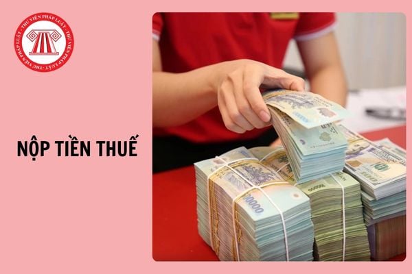 Hỏi đáp Pháp luật