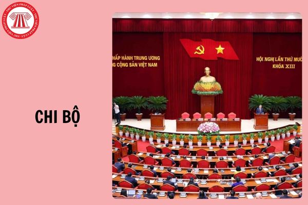 Hỏi đáp Pháp luật