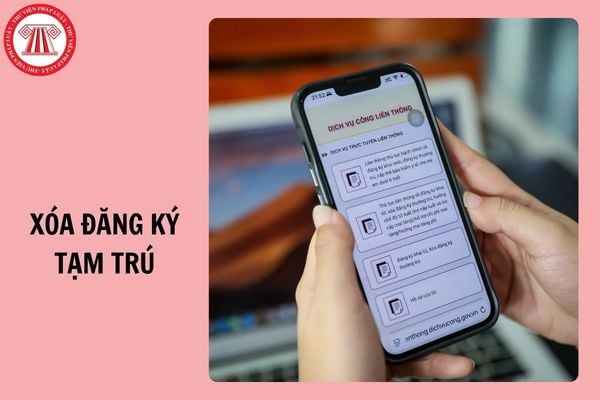 Hỏi đáp Pháp luật