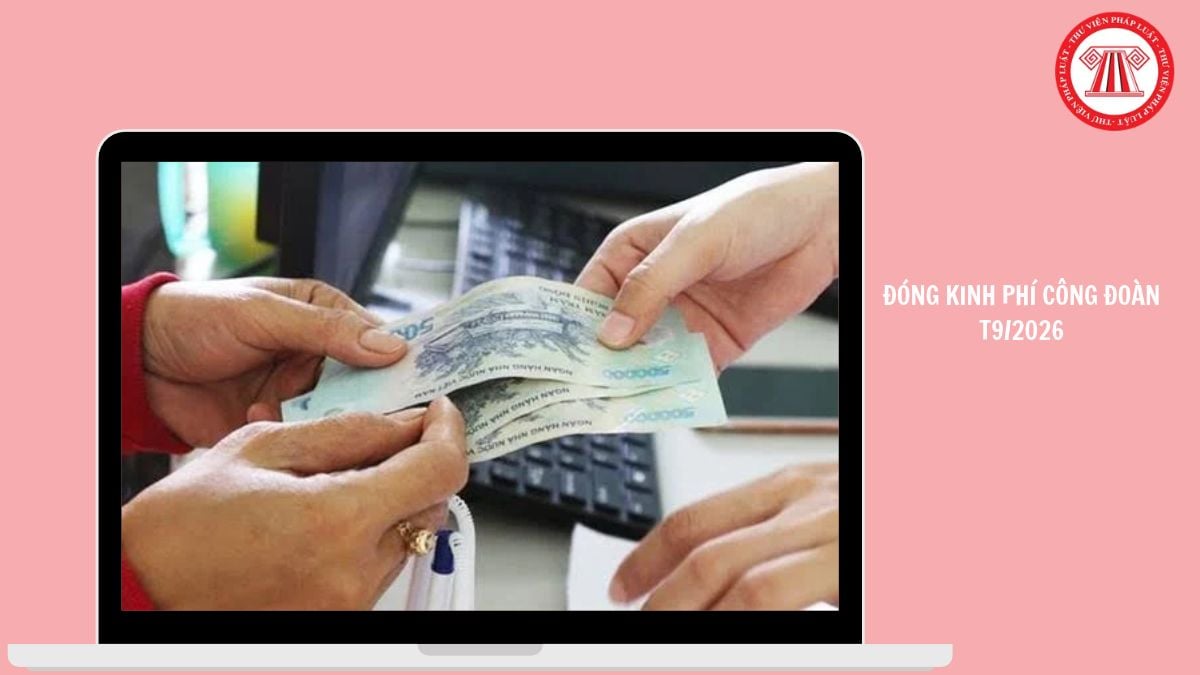 Hỏi đáp Pháp luật