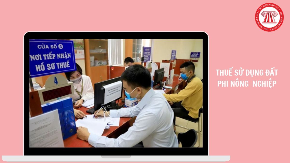 Hỏi đáp Pháp luật