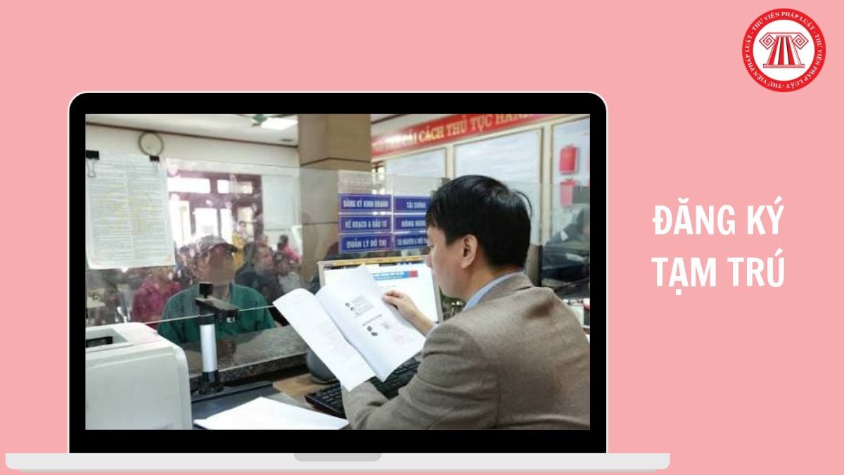 Hỏi đáp Pháp luật
