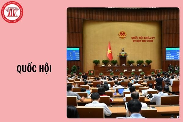 Hỏi đáp Pháp luật