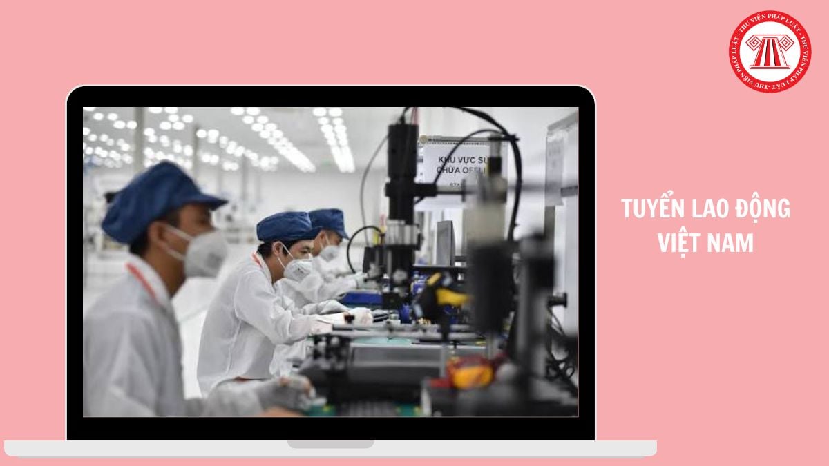 Hỏi đáp Pháp luật