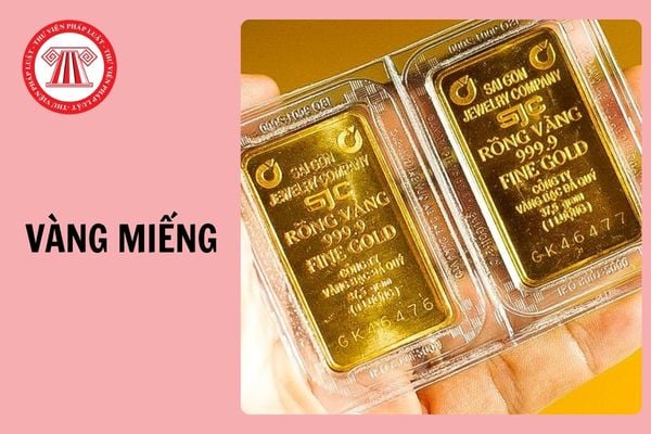 Hỏi đáp Pháp luật