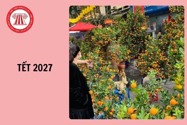 Tết 2027 vào ngày nào? Tết 2027 năm con gì?