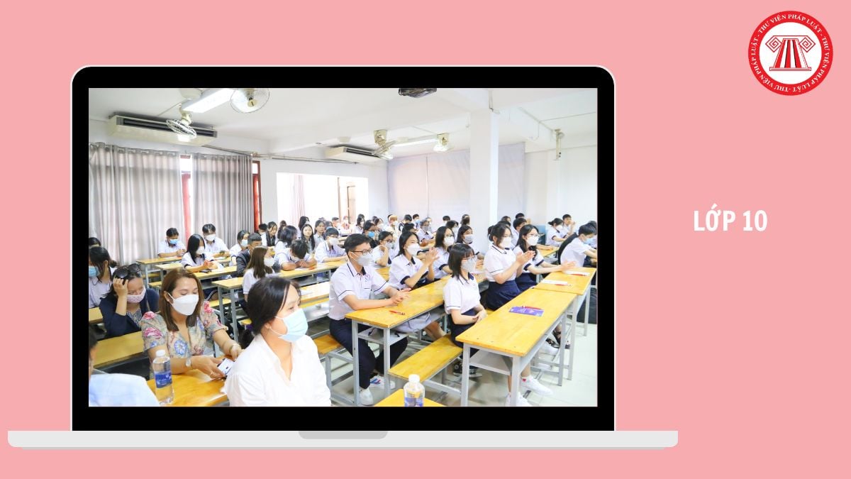 Đáp án mã đề 002 thi Tiếng Anh lớp 10 Hà Nội 2026 như thế nào?