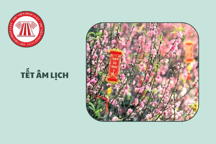 Lịch nghỉ Tết Âm lịch 2026 siêu thị Coopmart ngày mấy?
