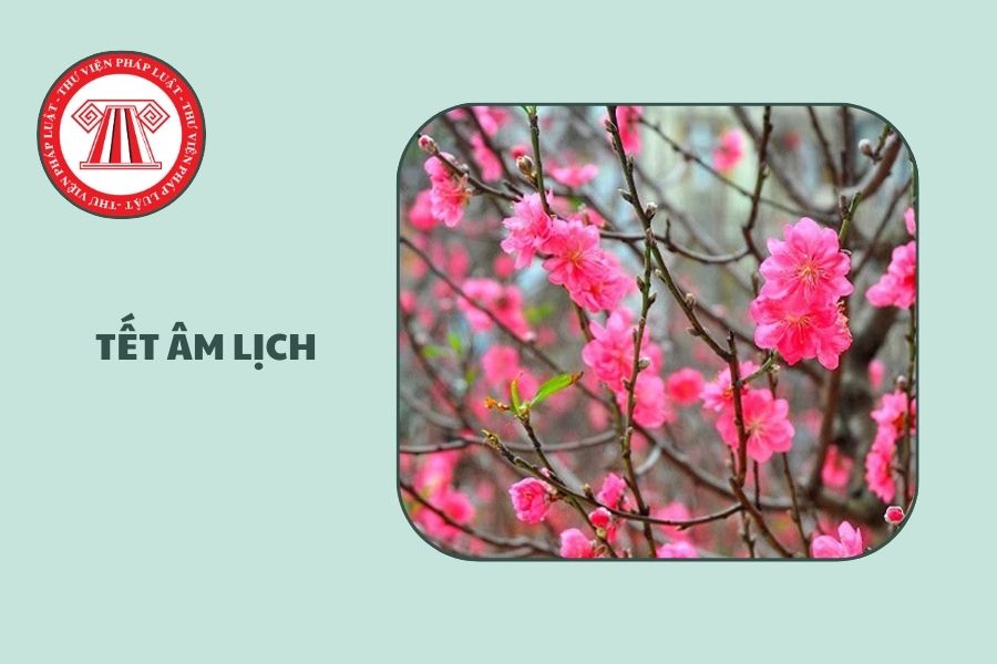 Lịch nghỉ Tết Âm lịch 2026 Emart ngày mấy?