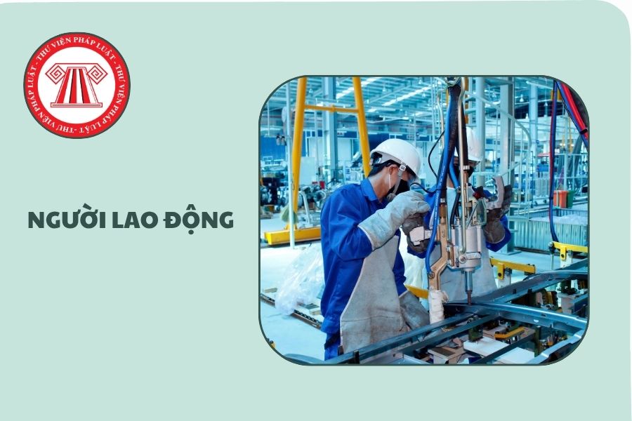 Hỏi đáp Pháp luật