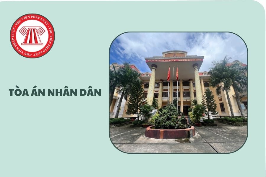 Hỏi đáp Pháp luật