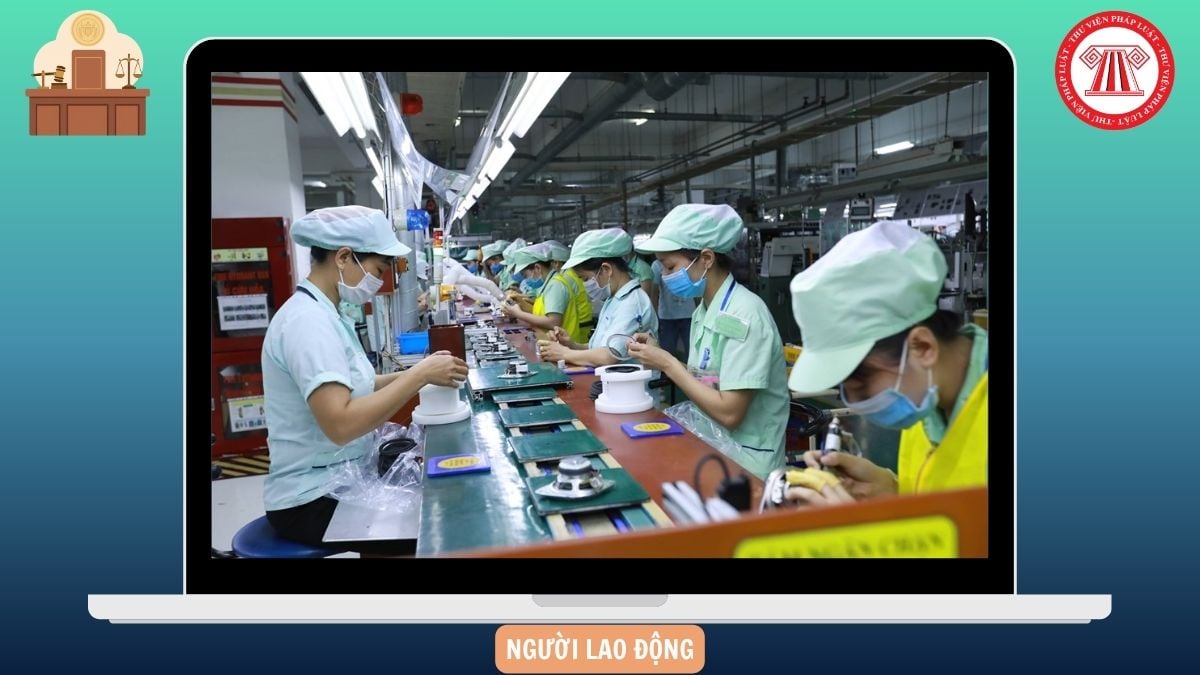 Hỏi đáp Pháp luật
