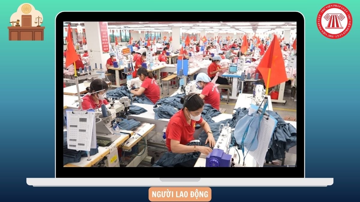 Hỏi đáp Pháp luật