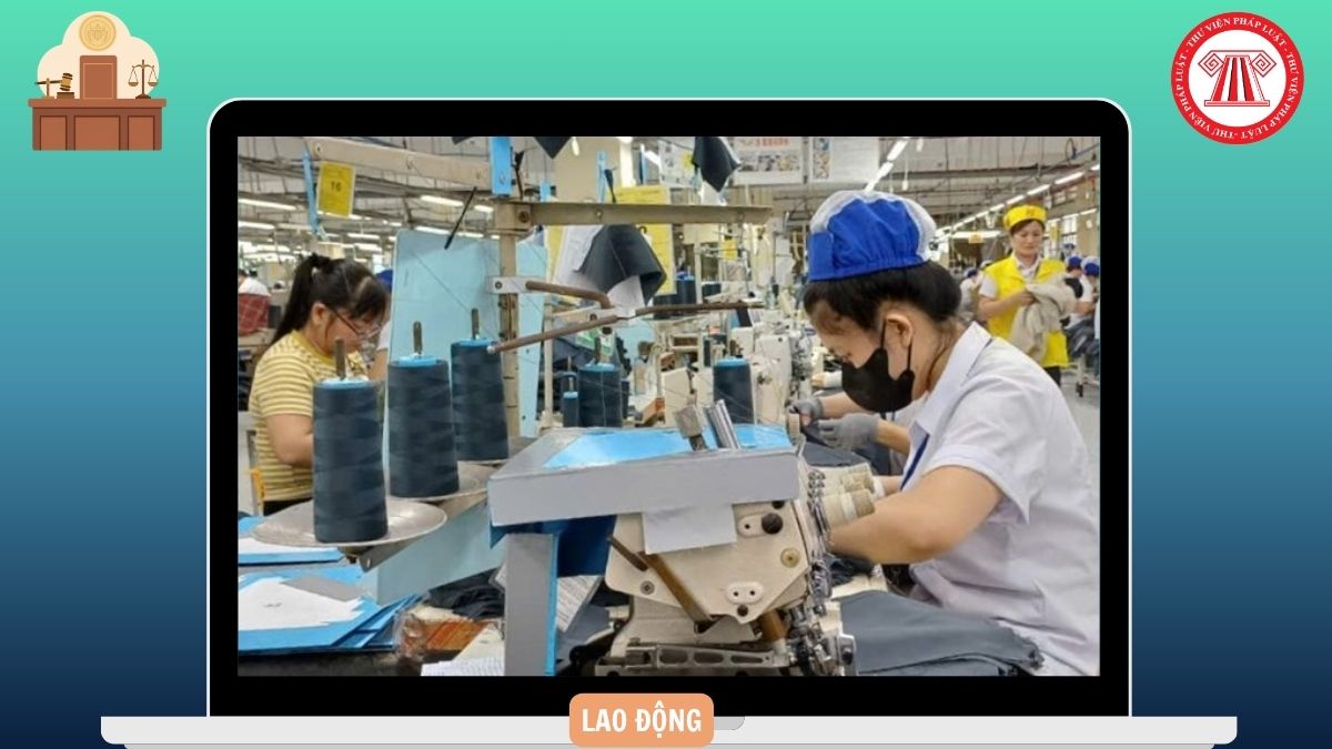 Hỏi đáp Pháp luật