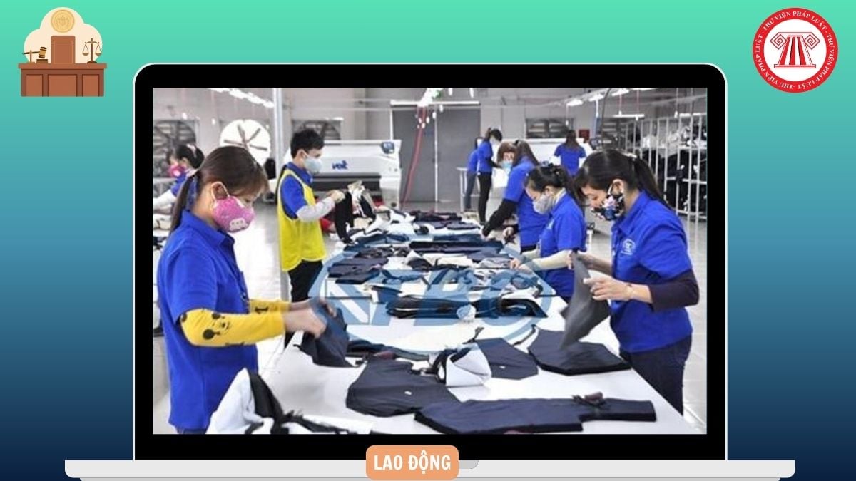 Hỏi đáp Pháp luật
