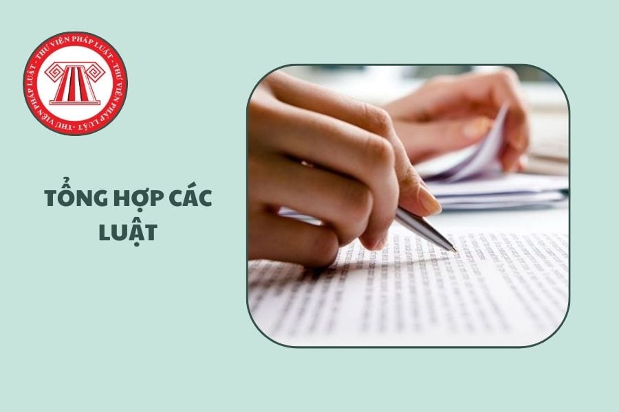 Hỏi đáp Pháp luật