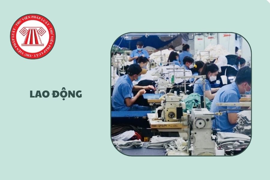 Hỏi đáp Pháp luật