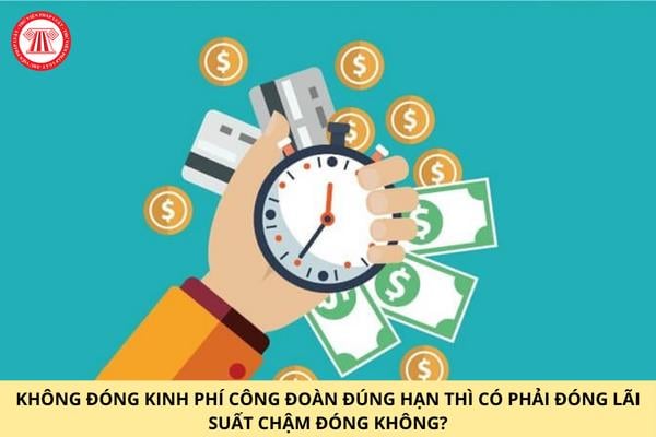 Hỏi đáp Pháp luật