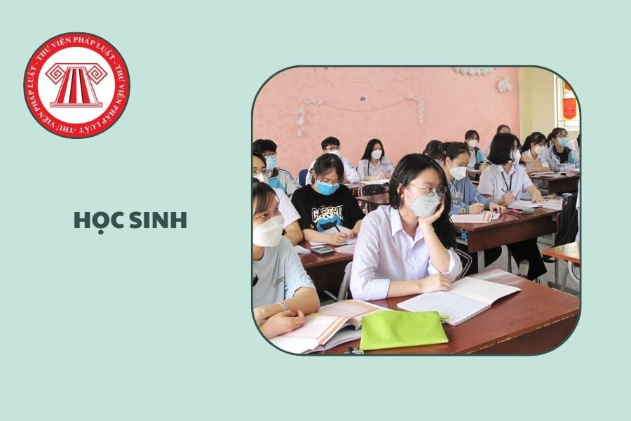 Hỏi đáp Pháp luật