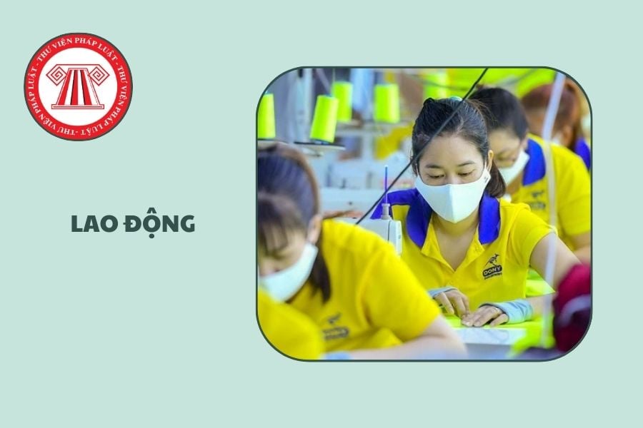 Hỏi đáp Pháp luật