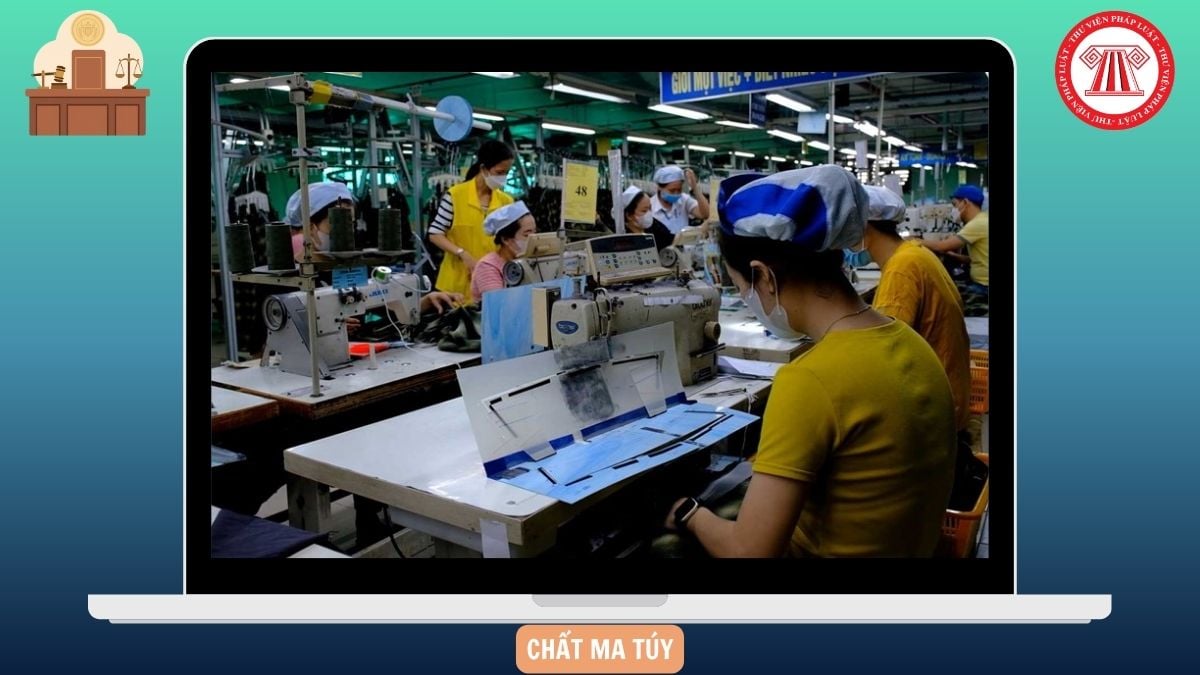 Hỏi đáp Pháp luật