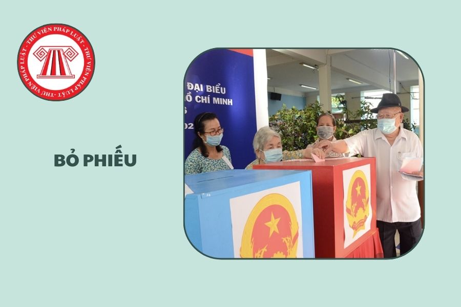 Hỏi đáp Pháp luật