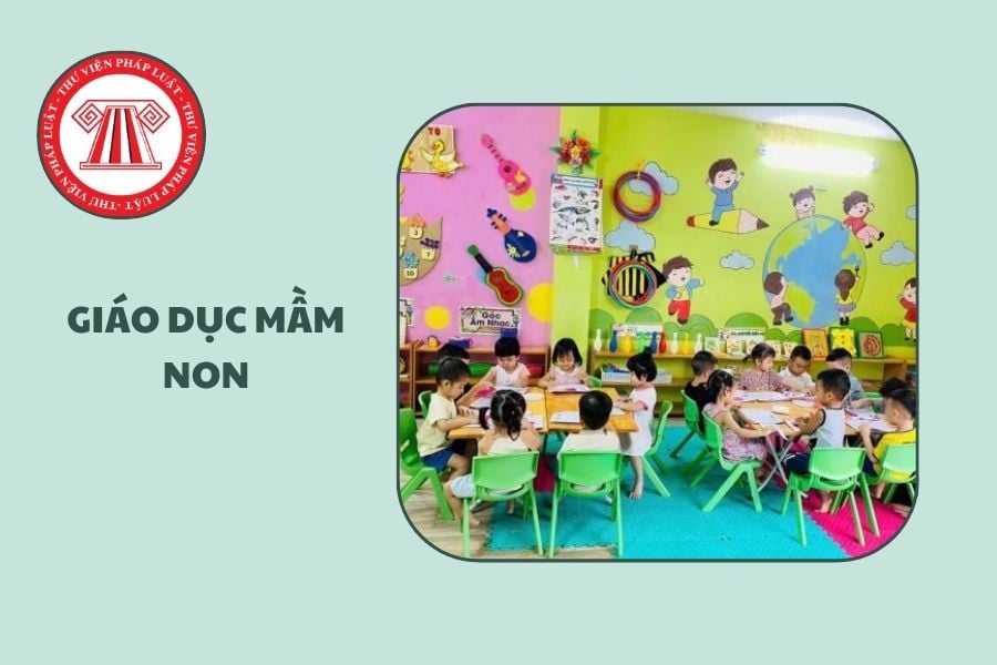 Có bao nhiêu cơ sở giáo dục mầm non?