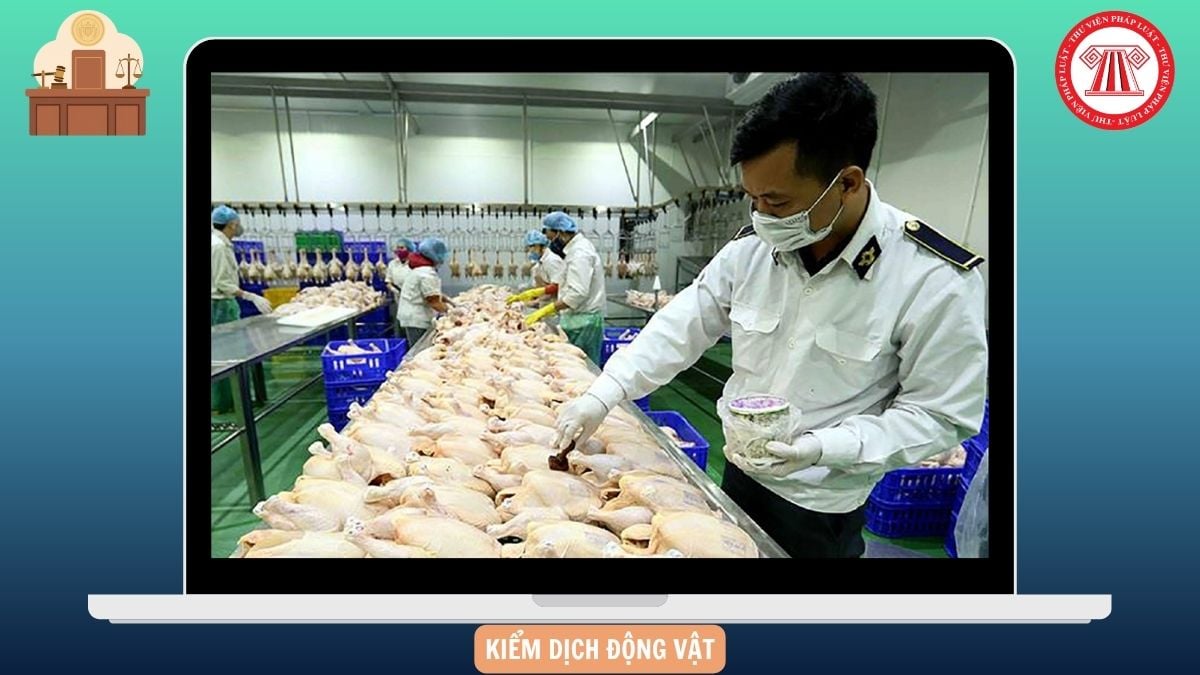 Hỏi đáp Pháp luật