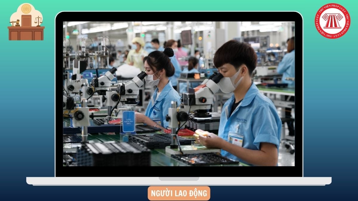 Hỏi đáp Pháp luật