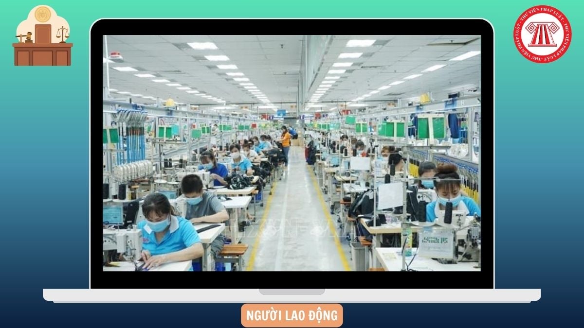 Hỏi đáp Pháp luật