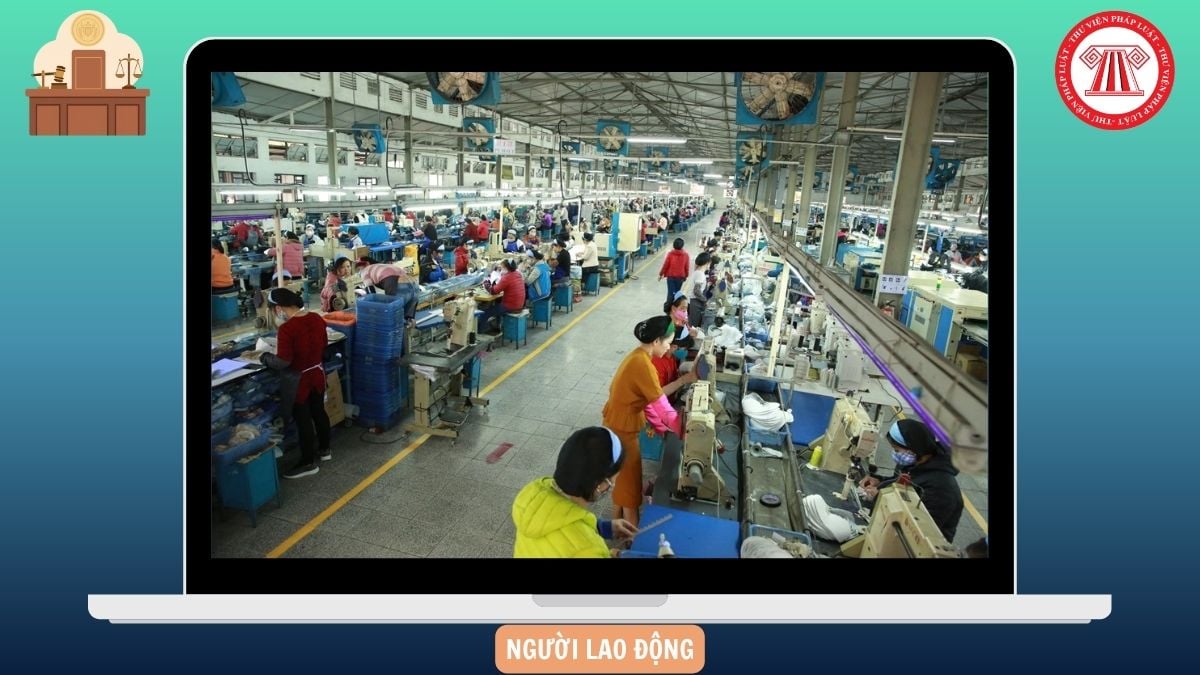Hỏi đáp Pháp luật