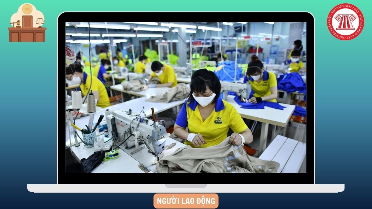 Hỏi đáp Pháp luật