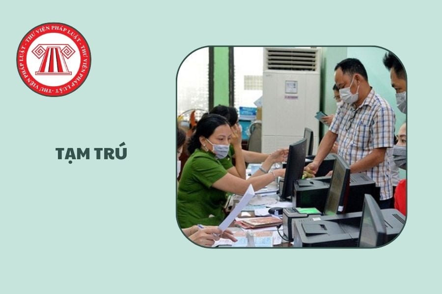 Hỏi đáp Pháp luật