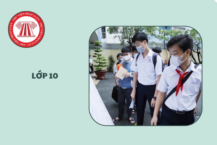 Hỏi đáp Pháp luật