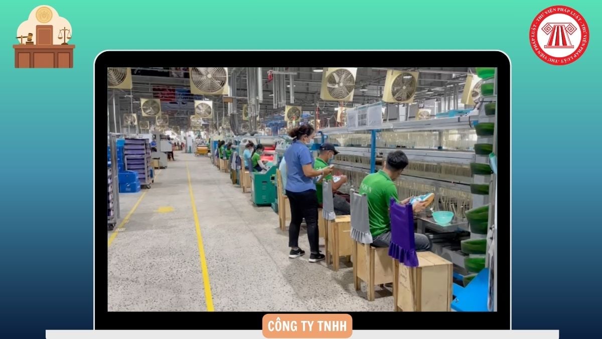 Hỏi đáp Pháp luật