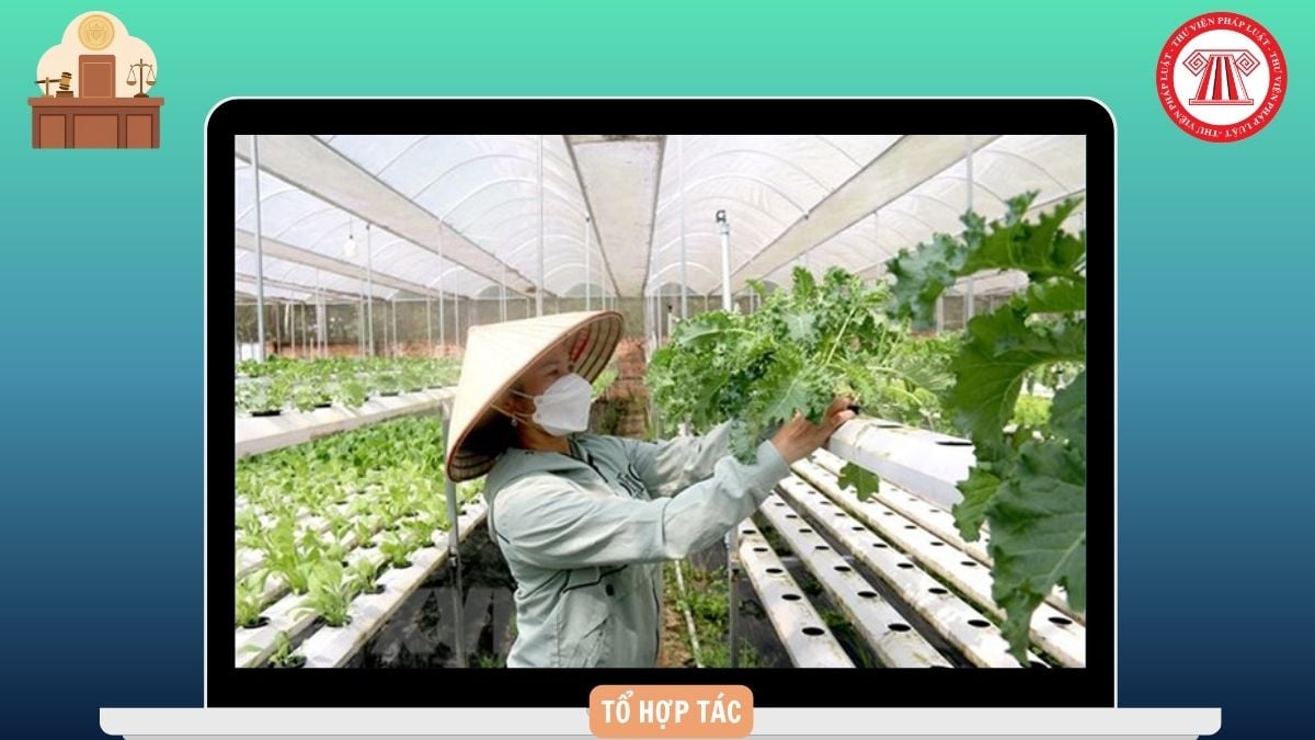 Hỏi đáp Pháp luật