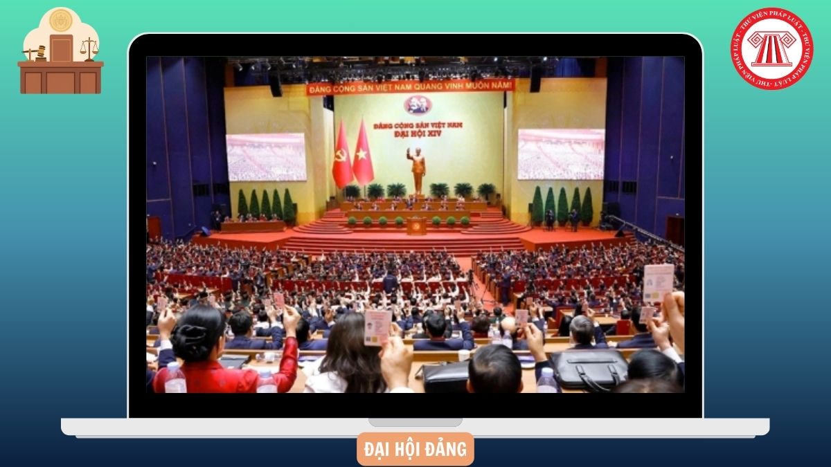 Hỏi đáp Pháp luật