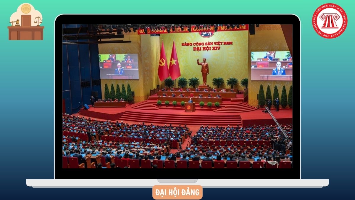 Hỏi đáp Pháp luật