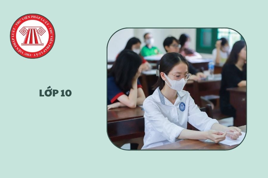 Hỏi đáp Pháp luật