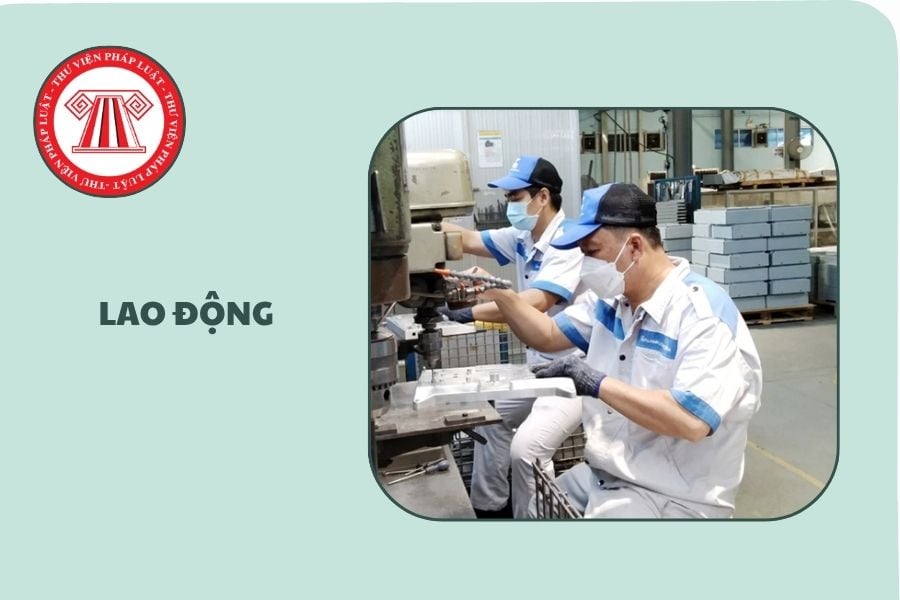 Hỏi đáp Pháp luật