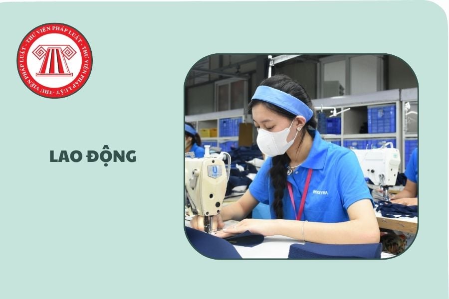Hỏi đáp Pháp luật