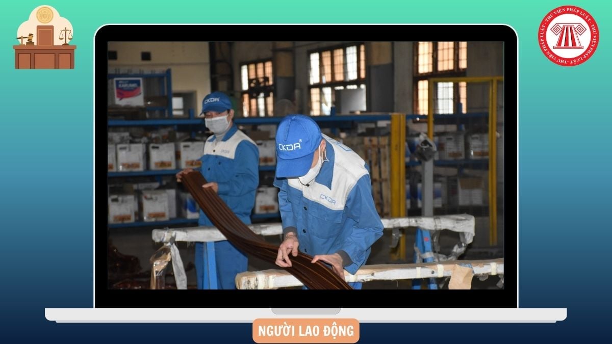 Hỏi đáp Pháp luật